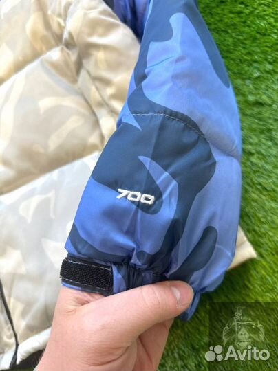 Куртка The North Face 700