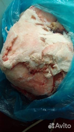 Барсучий жир