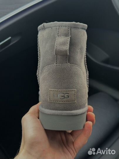 Угги Ugg Classic Mini II Grey