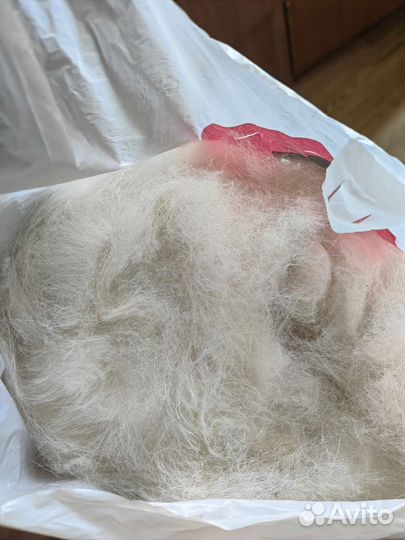 Собачья шерсть продажа