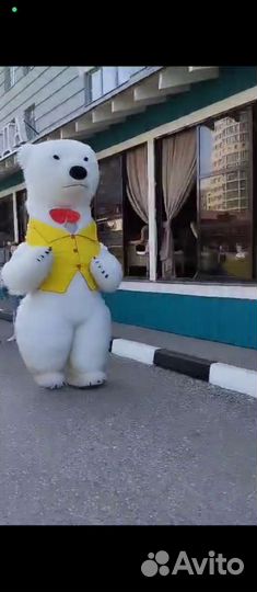 Поздравление от Белого медведя, панды, зайки