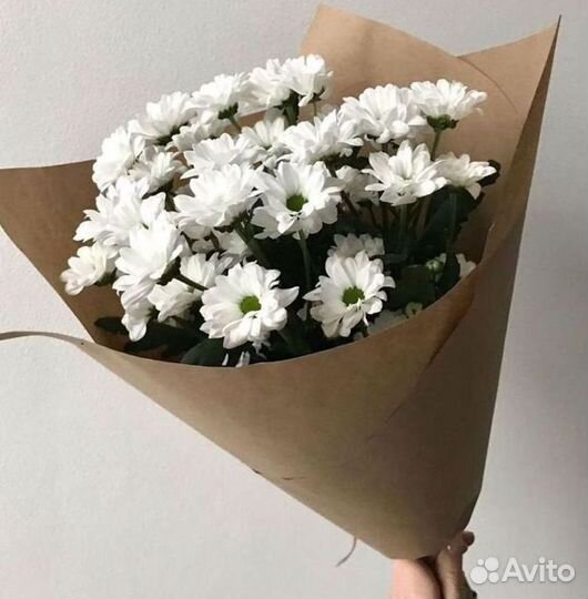 Хризантема Доставка цветов Букеты