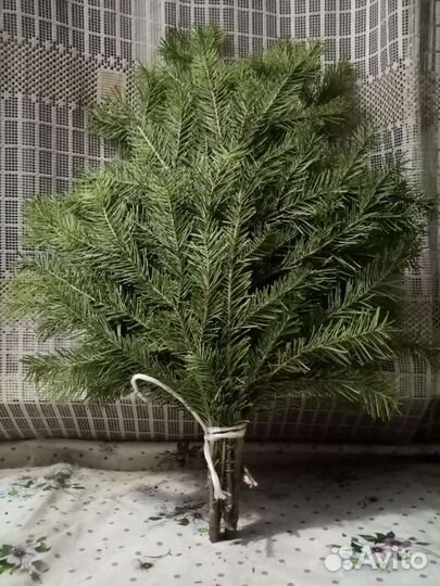 Веники дубовые, березовые, пихтовые для бани