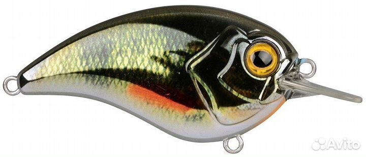 Spro Wobler Ikiru Flat Crank 55 Crome Roach 5,5 cm