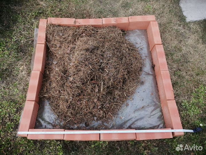 Сосновый опад