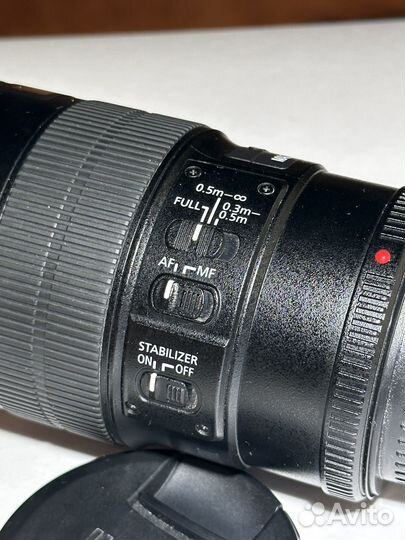 Canon EF 100mm f/2.8L Macro IS