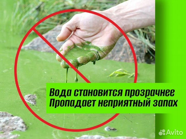 Хлорелла пот цена с доставкой