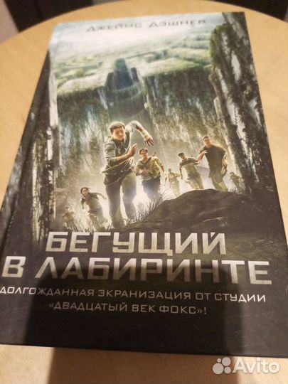 Бегущий в лабиринте