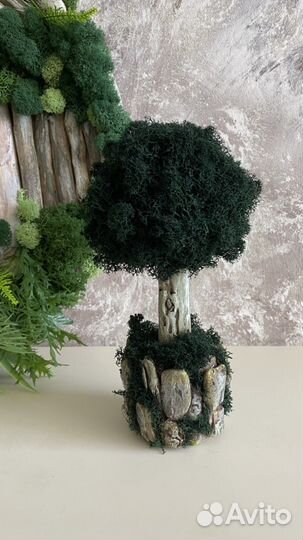 Деревце с мхом