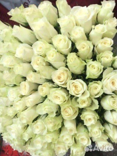 Цветы розы и букеты с доставкой 24 часа Саранск