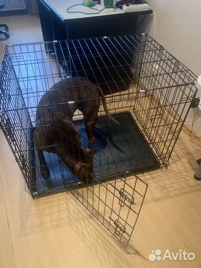 Клетка вольер для большой собаки бу
