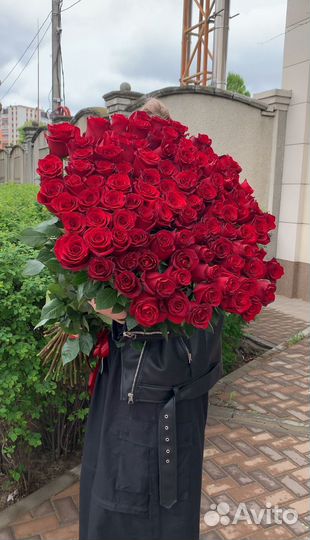 101 роза 51 роза 21 роза Букет Цветы Доставка