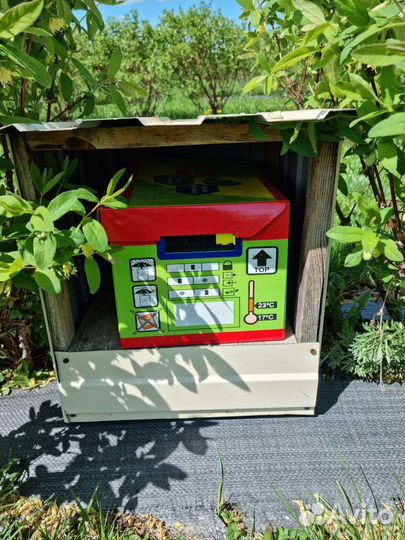 Шмели для сада, огорода, теплицы, детей