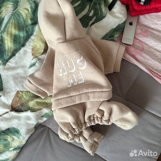 Спортивный костюм и толстовка для собак