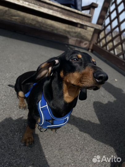 Кабель для вязки