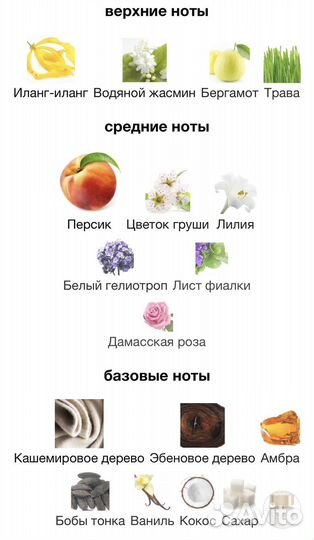 Tiziana terenzi andromeda 100мл