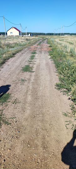 Участок 14,5 сот. (ИЖС)