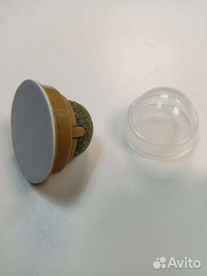 Кошачья мята на стену