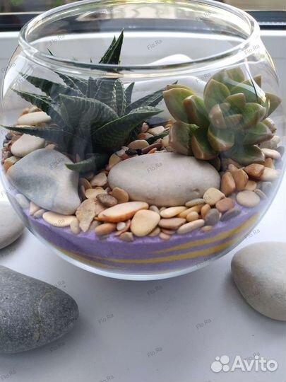 Флорариум с суккулентами