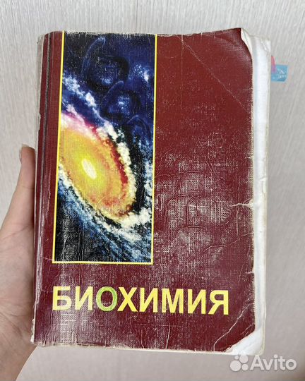 Учебное пособие по биохимии