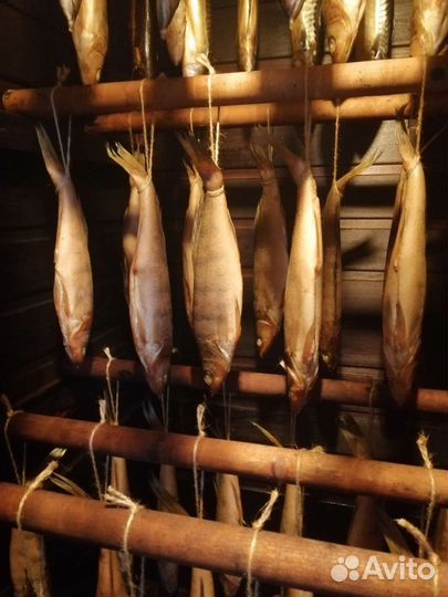 Копчёная рыба