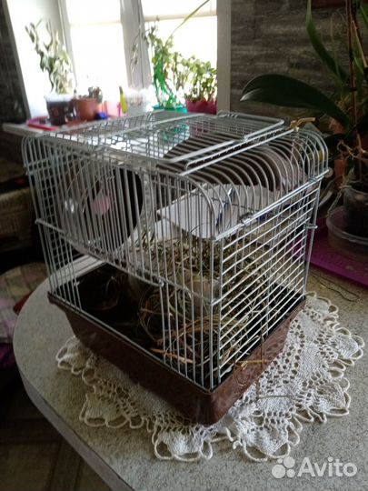 Клетка для хомяков и мелких грызунов 169, эмаль (2