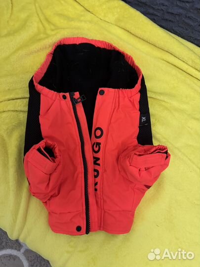 Одежда для собак мелких пород пакетом