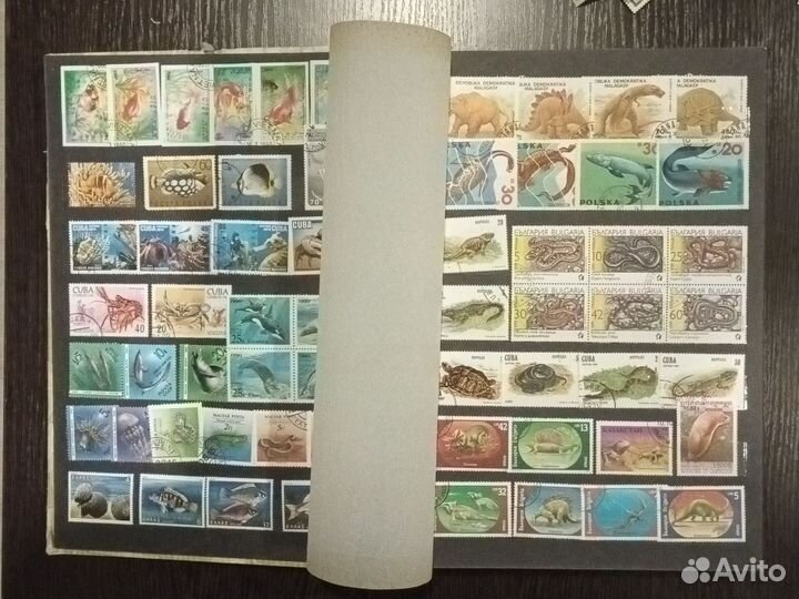 Марки флора и фауна