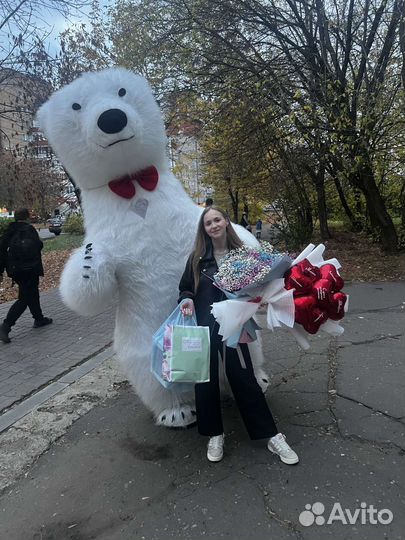 Белый мишка поздравление панда медведь