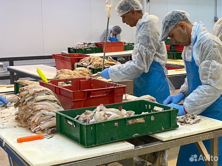 Упаковщики рыбы без опыта