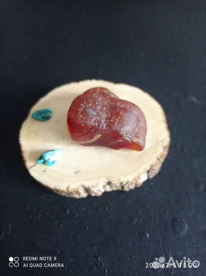 Срез бивня мамонта