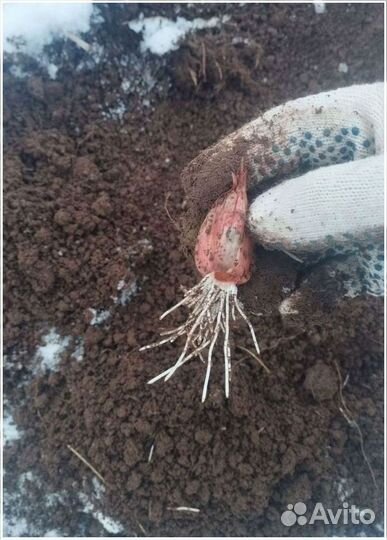 Прибыльный бизнес пассивный доход