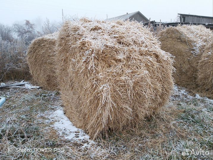 Солома в тюках