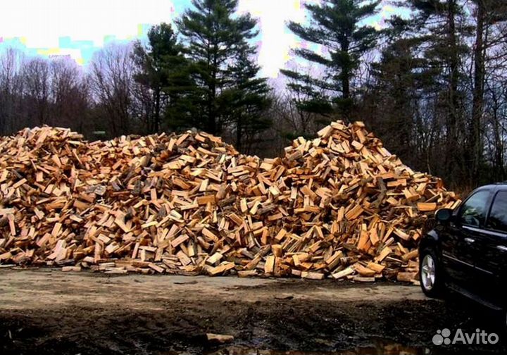 Дрова на дачу в баню