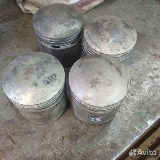 Поршни москвич ф82