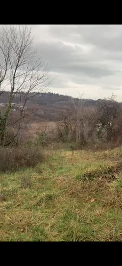 Участок 22 сот. (ИЖС)