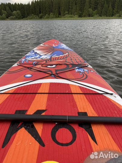 Прогулки По Воде На Sup board