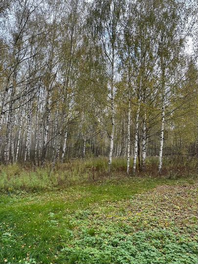 Участок 11 сот. (ИЖС)