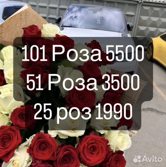 101 Роза 51 Роза цветы доставка розы