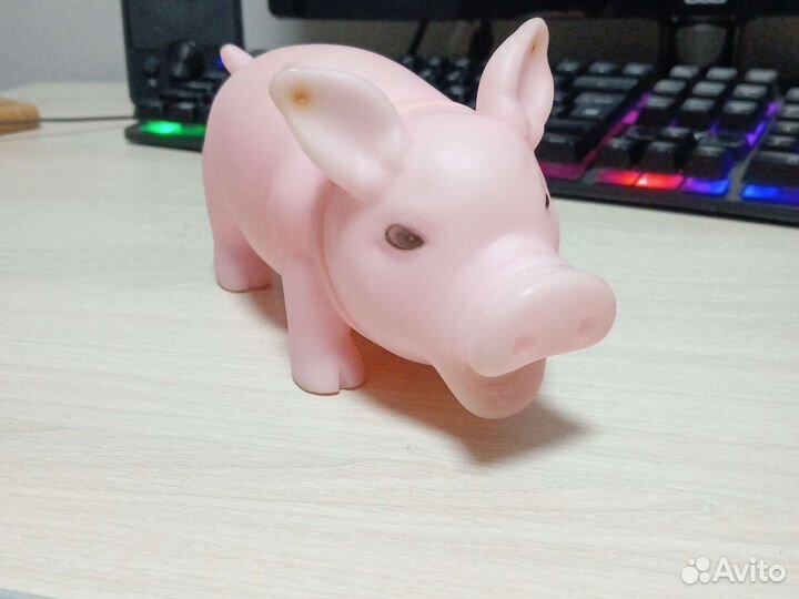 Хрюкающая свинья