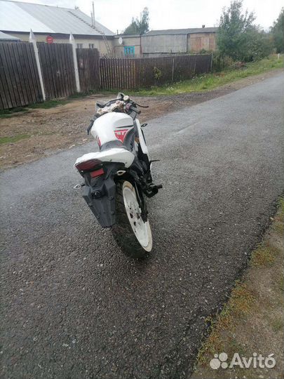 Falcon SpeedFire 250