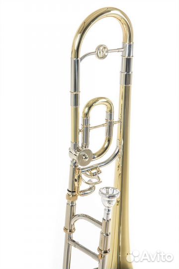 Детский тромбон Roy Benson TT-220