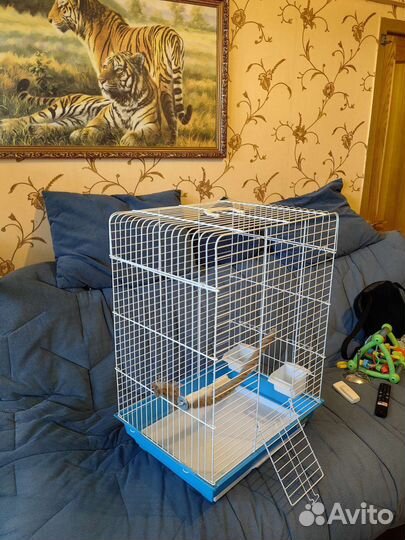 Клетка для среднего попугая