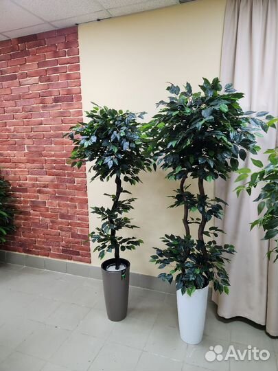 Дерево искусственное Фикус цветок домой центр