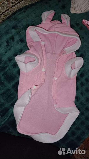 Боди для животных