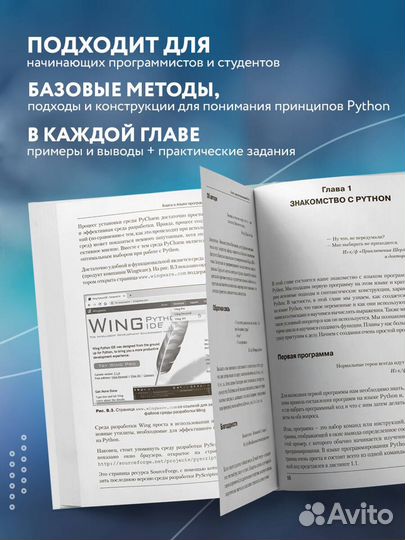 Программирование на Python в примерах и задачах