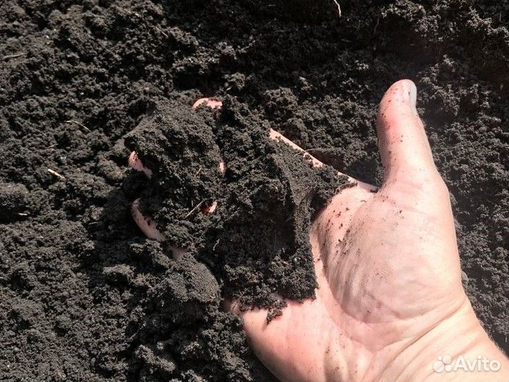 Чернозем доставка