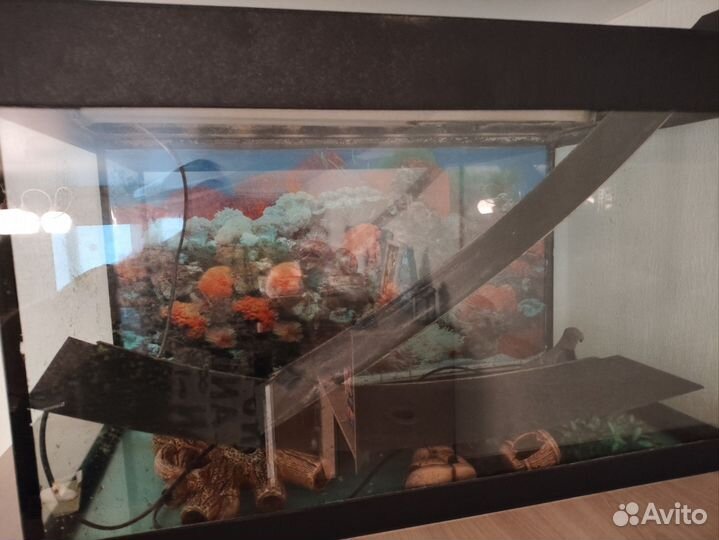 Аквариум