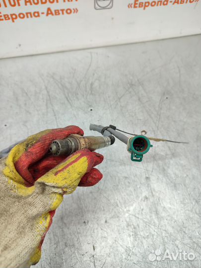 Датчик кислородный Ford Focus 3 1351337