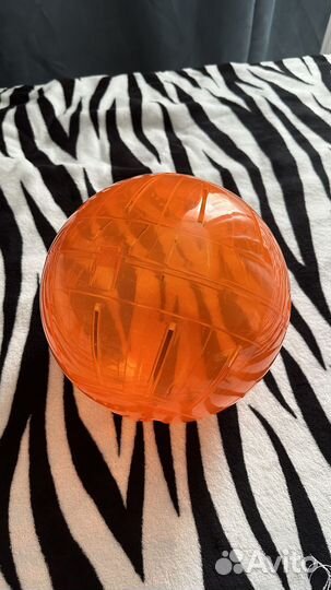 Прогулочный шар для грызунов